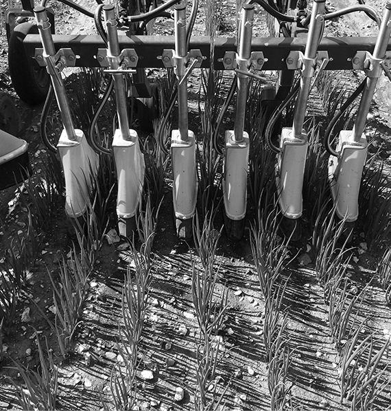 Pulverizador Varidome Micron