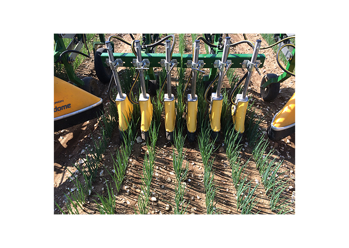 Cabeças com campânulas Vardiome Micron